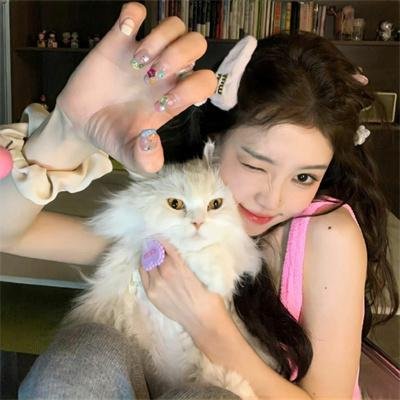 猫咪情缘